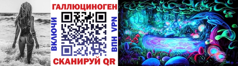 блэк спрут рабочий сайт  Гуково  Псилоцибиновые грибы Psilocybe 