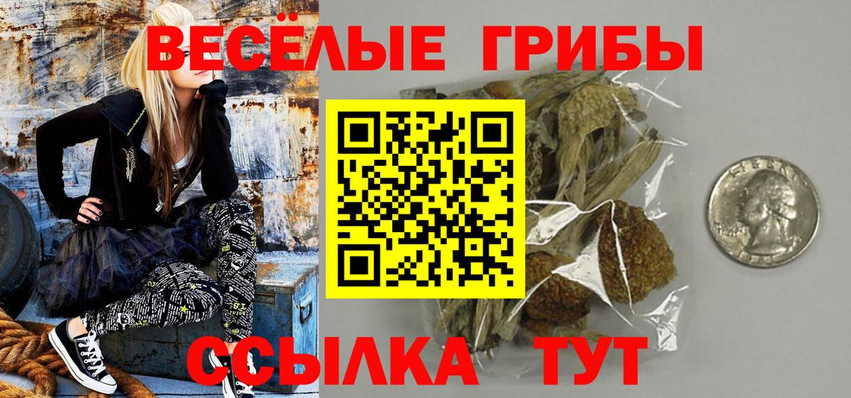 Гуково  Галлюциногенные грибы Cubensis  Вход с VPN  Псилоцибиновые грибы ЛСД 