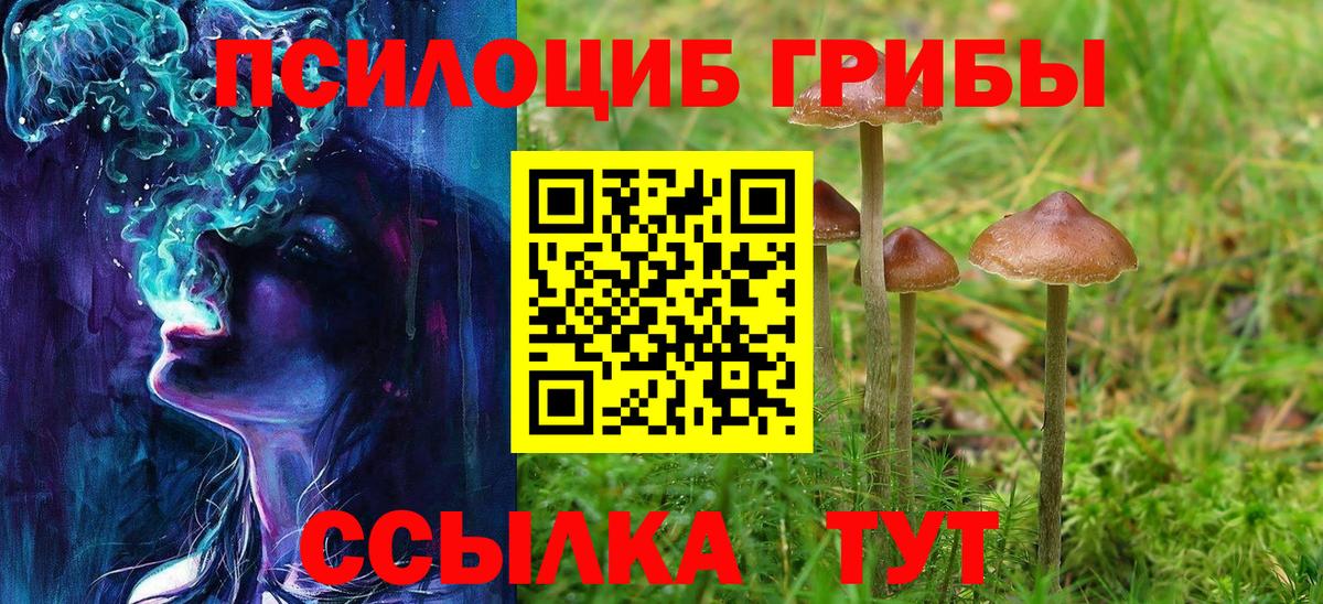 Псилоцибиновые грибы GOLDEN TEACHER Гуково