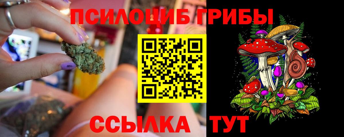 Псилоцибиновые грибы Psilocybine cubensis Гуково